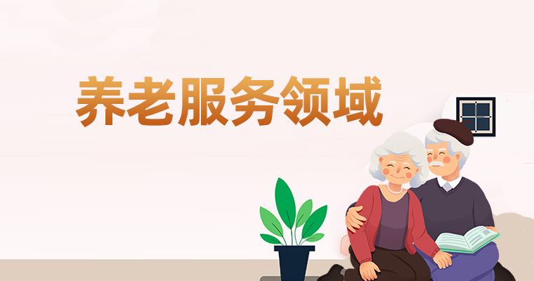 养老服务领域